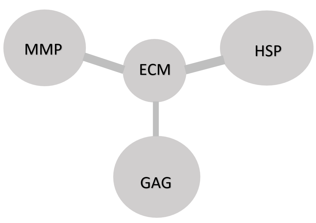 ECM3